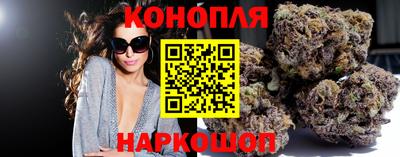 гидра Дубна