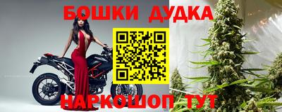 гидра Дубна