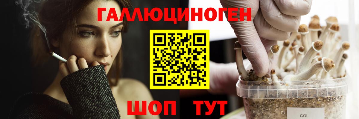 Псилоцибиновые грибы Psilocybine cubensis  Вход с VPN  Михайловка 